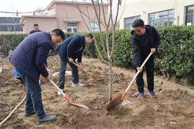 标题:中电建冀交高投星空(中国)积极开展植树节活动<br/>说明:<br/>日期:2025/3/17 9:10:56