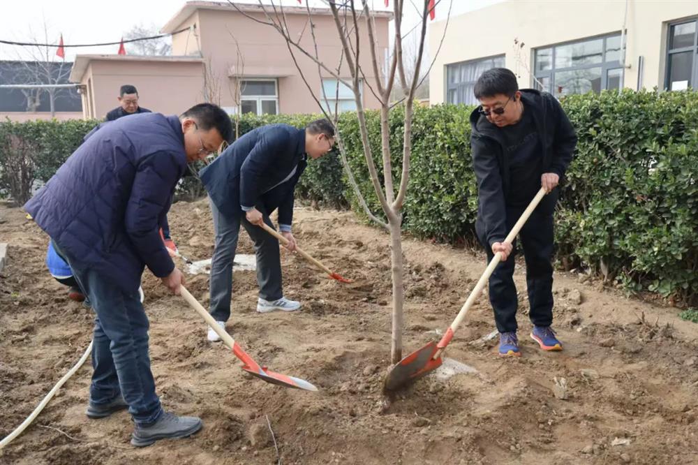 中电建冀交高投星空(中国)积极开展植树节活动